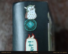 Die Schule der magischen Tiere