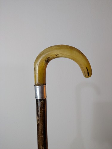 Hirten gauner widder - gauner,
