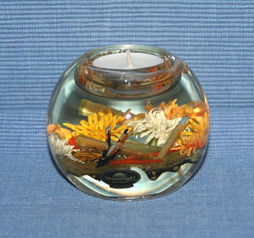 Dreamlight teelichthalter aus - teelichthalter,