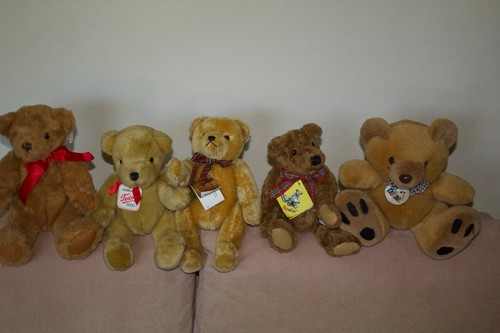 Teddy bär konvolut - teddy,