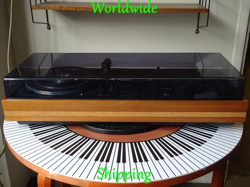 Schneider compact studio - schneider,