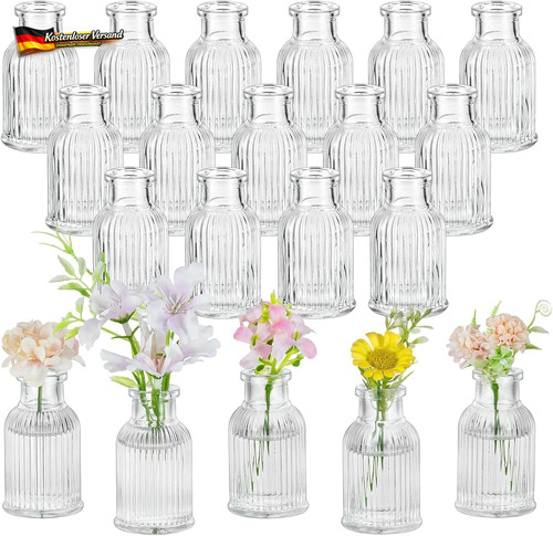 Mini glasvasen set für blumen - mini,