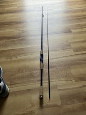 Daiwa Inlinerruten 2 70