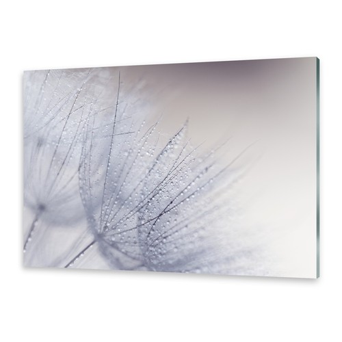Acrylglasbilder wandbild aus - acrylglasbilder,