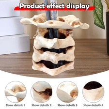 Wirbelsäule Vase Sammeln Harz