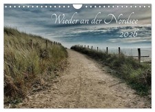 Wieder an der Nordsee