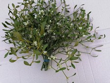  Bund Mistelzweige mit Beeren Mistel Weinachten Deko Advent