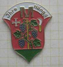 HÖNGG / WAPPEN / SCHWEIZ ................... Städte & Länder- Pin (142i)