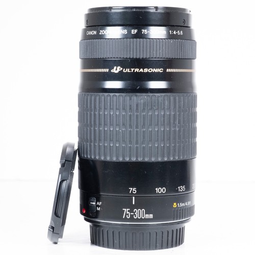 Canon teleobjektiv 300 mm - canon, 75–300