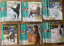 29x Araber Weltweit - Arabisches Vollblut, Pferde, Vollblutaraber