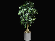 Ficus Madagaskar Dekopflanze Kunstbaum 190 cm mit Edelstahl Übertopf Lagerware