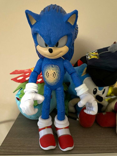 Sonic the hedgehog - the,