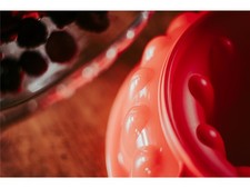 Tupperware Kleiner Prinz Kranz Sturzform Puddingform Form 1l korallenrot NEU