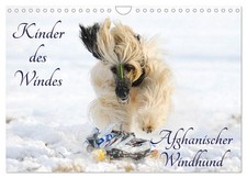 Kinder des Windes -