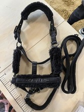 Halfter Cavallo schwarz, Größe Cob