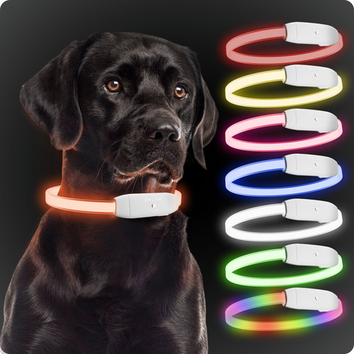Paj light stark leuchtendes - paj,