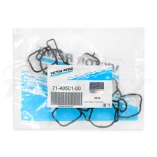 Victor Reinz Dichtung