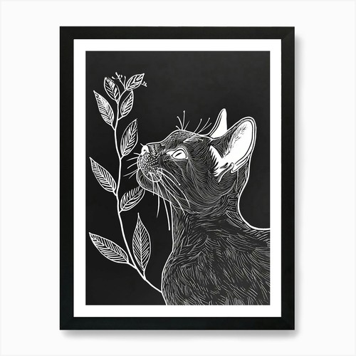 Europäische kurzhaarkatze - europäische,