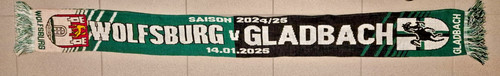 Vfl wolfsburg borussia - wolfsburg,
