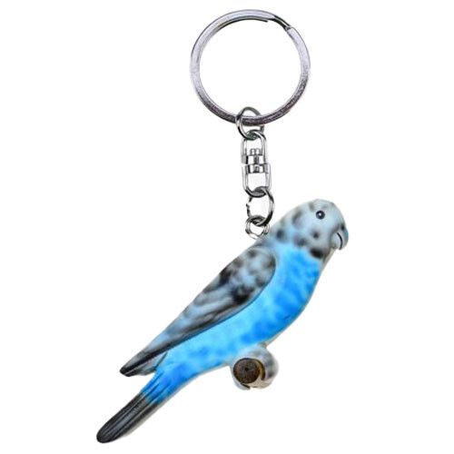 Wellensittich vogel blau - wellensittich,