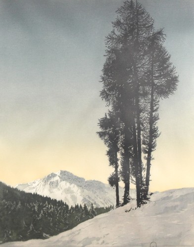 Hans figura - hans,