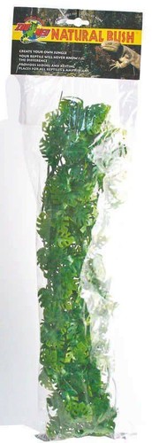 Plant amazon phyllos large - plant,