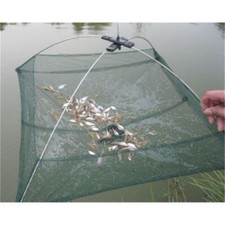 Köderfisch Senke mit