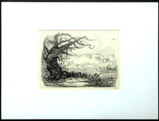 Alfred Kubin " Abenteuer mit