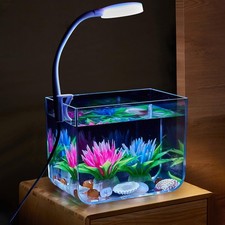 Mini transparent aquarium - transparent,