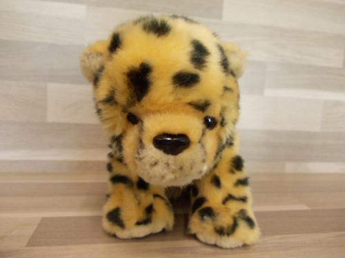 Leopard gepard panther welpe - leopard,