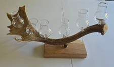 Schnapsständer aus Damwild Geweih auf Eichenholzplatte