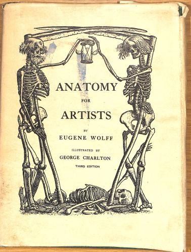 Anatomy for artists wolff - artists,