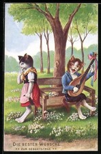 Künstler-AK C. Öhler: Katze