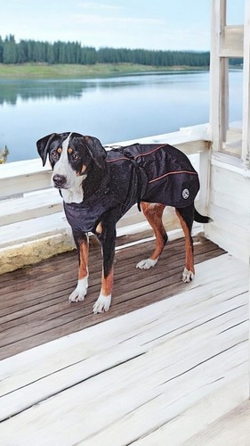 Hunter hundemantel uppsala - hunter,