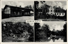 Ak Gryżyna Griesel