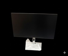 Bildschirm Dell P2425HE