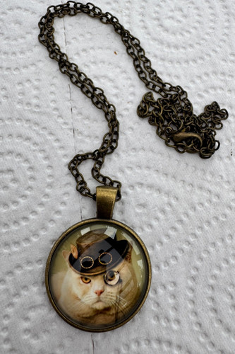Lustige kette katze mit - kette,