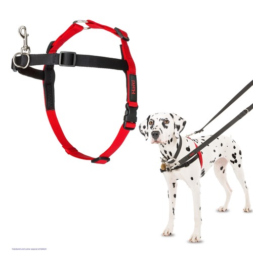 Halti-Hundegeschirr