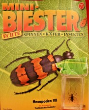 +++Mini-Biester Ausgabe