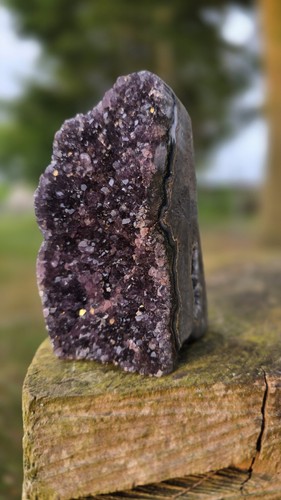 Amethyst cluster freeform - cluster, in