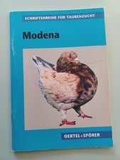 Modena, Tauben, Rassetauben, Taubenzucht, Geflügelzucht, Englische Modena