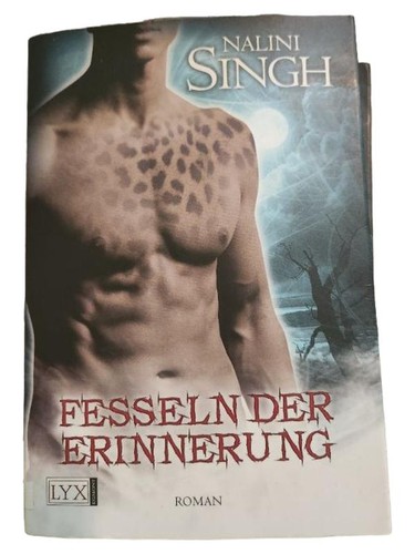 Fesseln der erinnerung - erinnerung,
