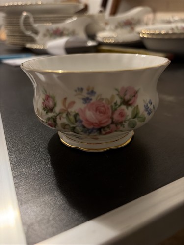 Royal albert moss rose - moss,