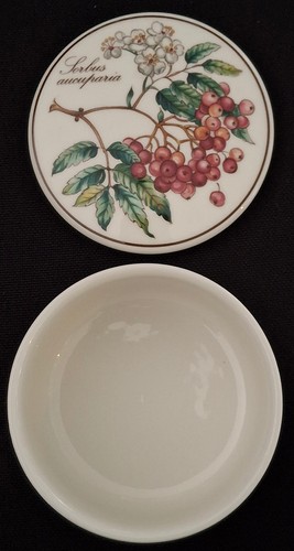 Villeroy boch botanica - villeroy,