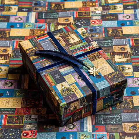 Harry potter geschenkpapier - harry,