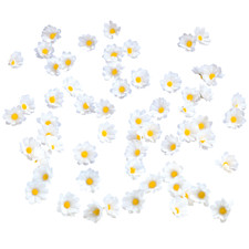 Deko-Margeriten-Streublüten-S