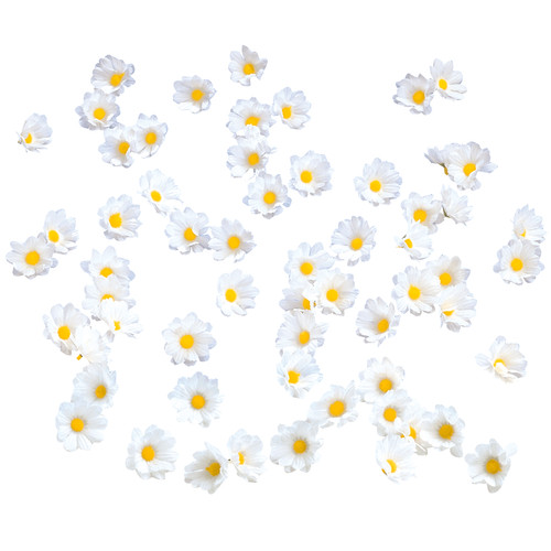 Deko-Margeriten-Streublüten-S