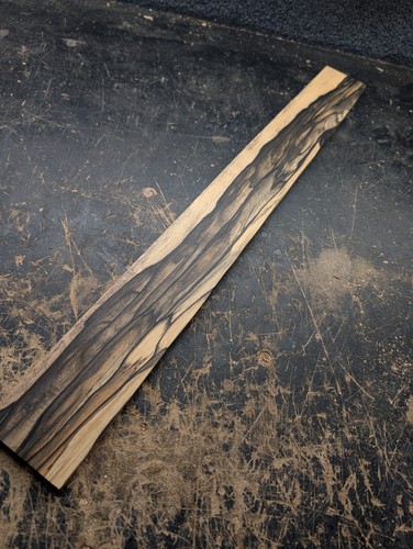 Pale moon ebenholz short scale - short,