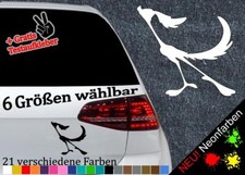 Roadrunner Autoaufkleber Piep
