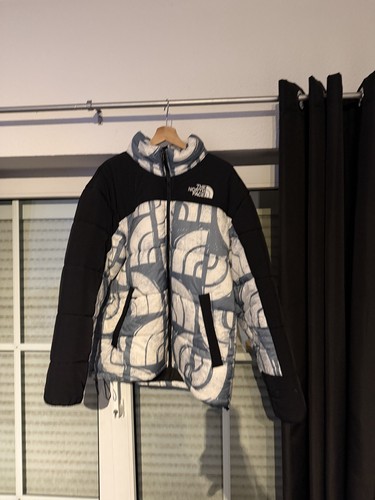 The north face puffer - north,
